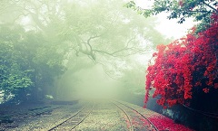 玉山县语芙土建有限公司